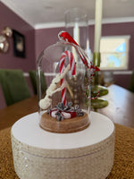 Flaca The Skeleton Stripper