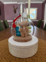 What’s in the Box?