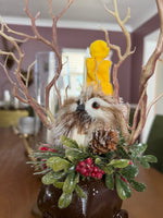 My Deer Friend and Owl