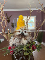 My Deer Friend and Owl