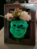 Baby Vase Frame